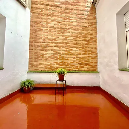 Amplio Con Dos Patios Gijón